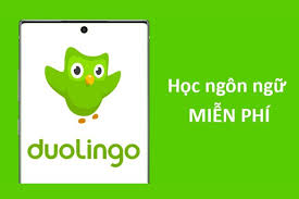 banner2 duolingo mod apk