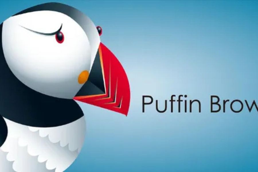 banner Puffin Browser Pro Apk 3
