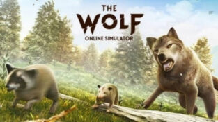 Hack The Wolf khám phá thế giới hoang dã (1)